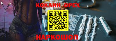 крисы Кингисепп