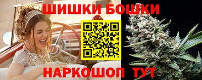крисы Кингисепп