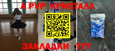 крисы Кингисепп