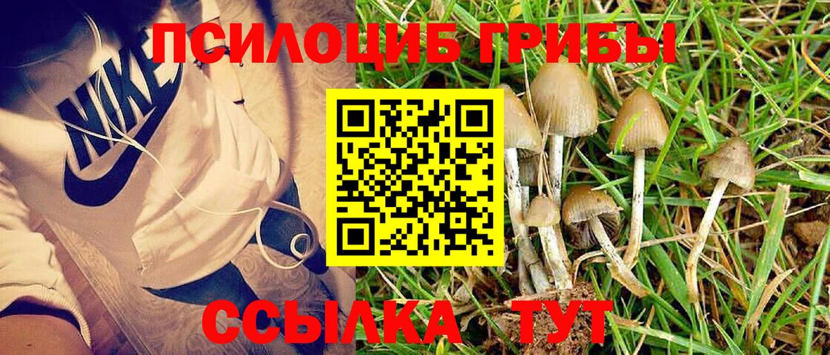 Галлюциногенные грибы GOLDEN TEACHER Корсаков
